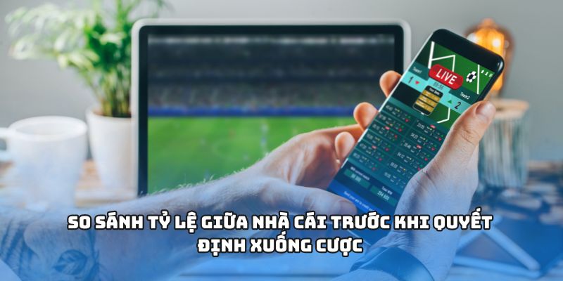 So sánh tỷ lệ giữa nhà cái trước khi quyết định xuống cược