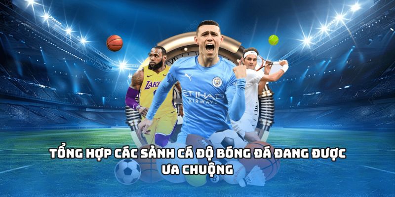 Tổng hợp các sảnh cá độ bóng đá đang được ưa chuộng