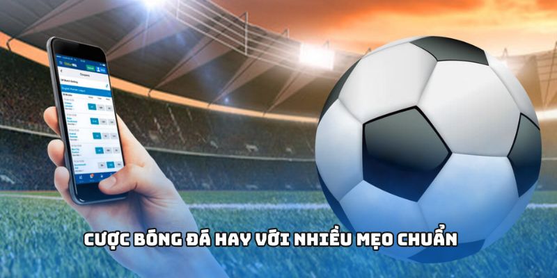 Cược bóng đá hay với nhiều mẹo chuẩn