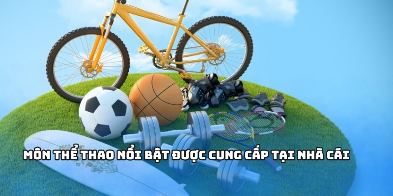 Môn thể thao nổi bật được cung cấp tại nhà cái