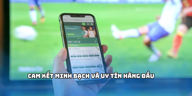 Cam kết minh bạch và uy tín hàng đầu
