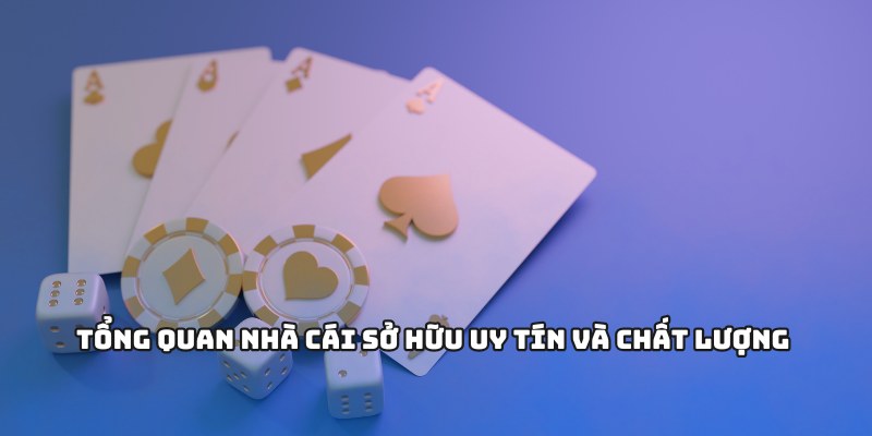 Tổng quan nhà cái sở hữu uy tín và chất lượng