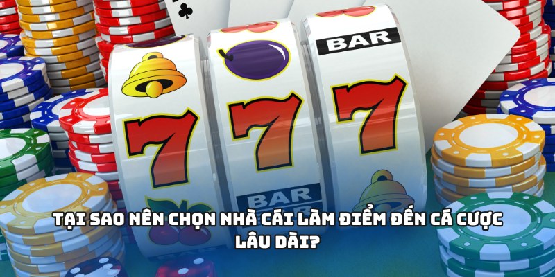 Tại sao nên chọn nhà cái làm điểm đến cá cược lâu dài?