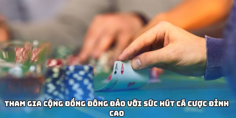 Tham gia cộng đồng đông đảo với sức hút cá cược đỉnh cao