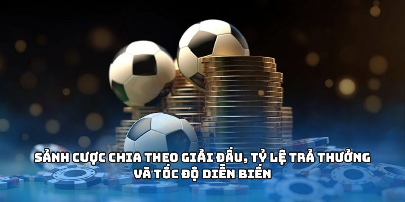 Sảnh cược chia theo giải đấu, tỷ lệ trả thưởng và tốc độ diễn biến