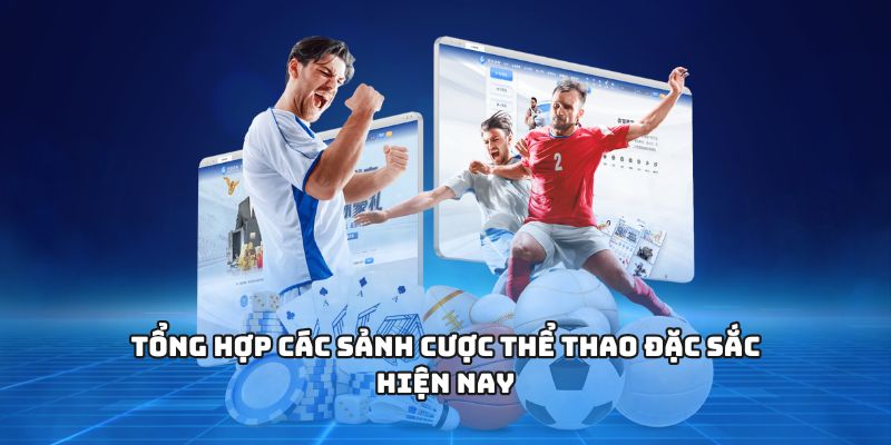 Tổng hợp các sảnh cược thể thao đặc sắc hiện nay