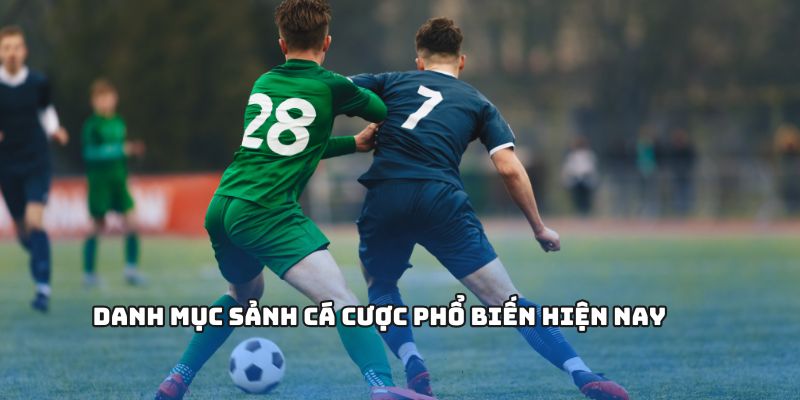 Danh mục sảnh cá cược phổ biến hiện nay