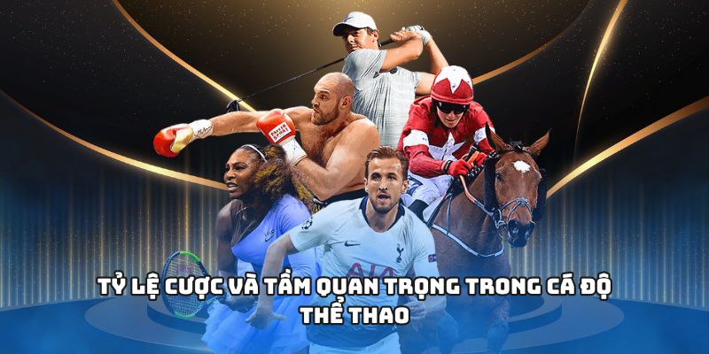 Tỷ lệ cược và tầm quan trọng trong cá độ thể thao