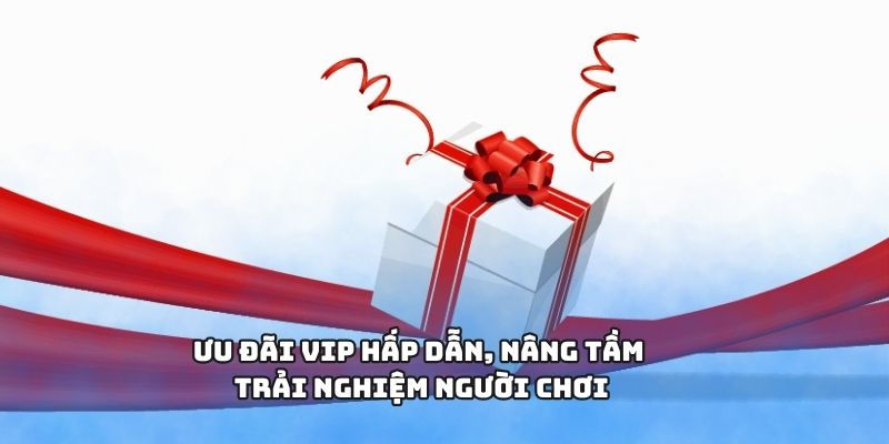 Ưu đãi VIP hấp dẫn, nâng tầm trải nghiệm người chơi
