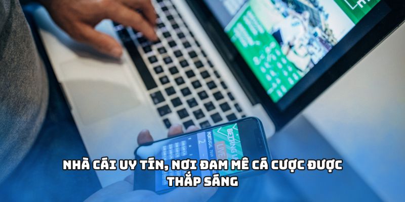 Nhà cái uy tín, nơi đam mê cá cược được thắp sáng