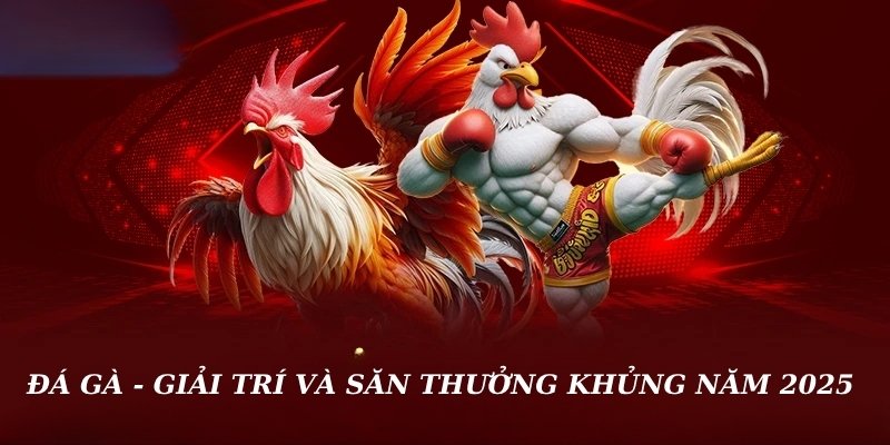 Đá gà 58win - Giải trí và săn thưởng khủng năm 2025