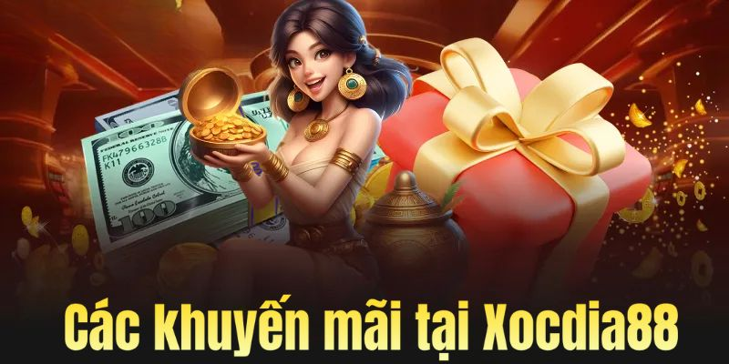 Xocdia88