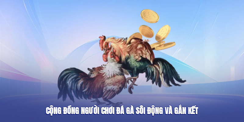 Cộng đồng người chơi đá gà sôi động và gắn kết