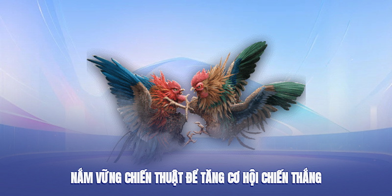 Áp dụng chiến lược hợp lý để nâng cao khả năng thắng cược